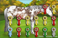 Horse Color:Brown Sabino