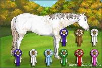 Horse Color:Bay Pearl Dun Sabino 