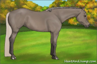 Horse Color:Silver Black 