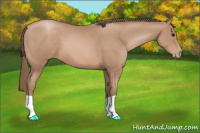 Horse Color:Black Pearl