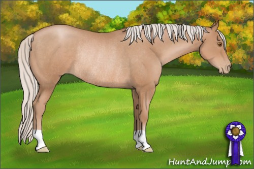 Horse Color: Silver Black Pearl Rabicano 