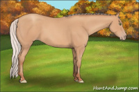 Horse Color:Silver Classic Champagne