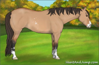 Horse Color:Bay Dun Sabino