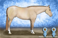 Horse Color:Grullo Pearl Sabino