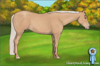 Horse Color:Silver Classic Champagne