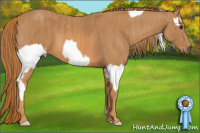 Horse Color:Liver Red Dun Blanket Rabicano  Brindle