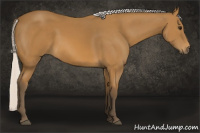 Horse Color:Silver Buckskin 