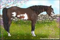 Horse Color:Brown Frame 