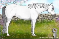 Horse Color:White Spotted Black Splash Frame