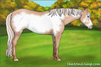 Horse Color:Silver Amber Champagne Frame 