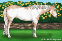 Horse Color:Silver Amber Champagne Frame 