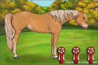 Horse Color:Chocolate Palomino 