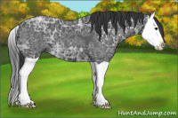 Horse Color:Black Ice Splash 