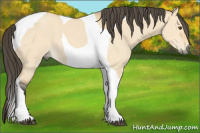Horse Color:Buckskin Dun Tobiano 
