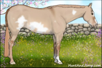Horse Color:Liver Red Dun Frame 