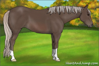 Horse Color:Silver Brown 