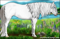 Horse Color:Gray Grullo Roan Splash Tobiano Appaloosa 