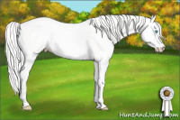 Horse Color:Cremello Dun Tobiano 