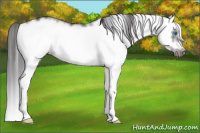 Horse Color:White Spotted Smoky Black Splash Frame