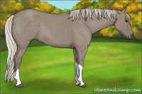 Horse Color:Silver Smoky Grullo Roan Tobiano