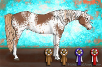 Horse Color:White Spotted Chestnut 