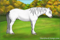 Horse Color:White Spotted Grullo Splash Frame Rabicano 
