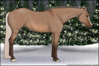 Horse Color:Silver Bay Dun 
