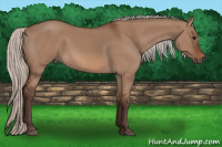Horse Color:Silver Bay Dun