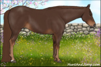 Horse Color:Gray Chestnut 