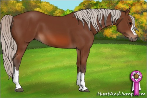 Horse Color: Silver Bay 