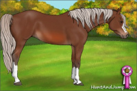 Horse Color:Silver Bay 