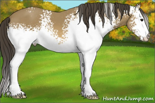 Horse Color: White Spotted Buckskin 