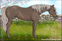 Horse Color:Silver Black 