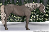 Horse Color:Silver Black 