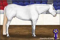 Horse Color:Buckskin Roan Dun Near Fewspot 