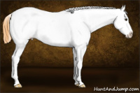 Horse Color:Buckskin Roan Dun Appaloosa