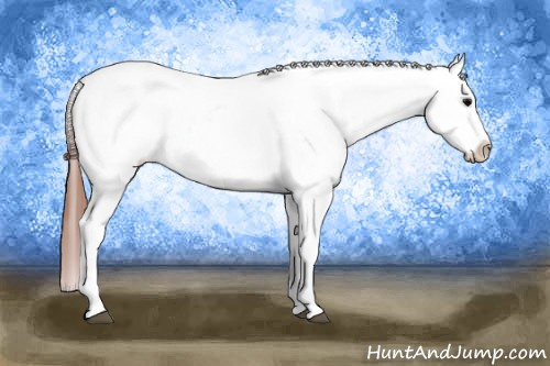 Horse Color: Grullo Varnish 