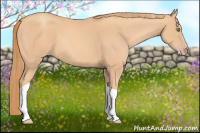 Horse Color:Gold Champagne Tobiano