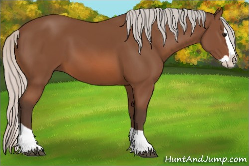 Horse Color: Silver Bay Splash 