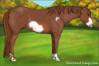 Horse Color:Liver Chestnut Frame 