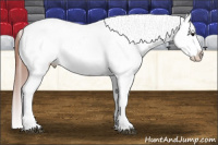 Horse Color:Grullo Appaloosa 