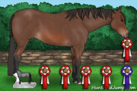 Horse Color:Bay Roan 