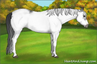 Horse Color:White Spotted Brown Splash Frame 