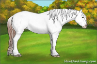 Horse Color:Blue Roan Snowcap Rabicano 