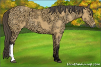 Horse Color:Buckskin Ice 