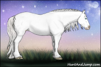 Horse Color:Silver Smoky Grullo Roan Pearl Splash Tobiano Appaloosa 