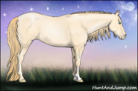 Horse Color:Buckskin Pearl 