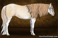 Horse Color:Smoky Black Pearl Splash Rabicano 