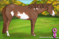 Horse Color:Liver Chestnut Frame 