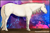 Horse Color:Buckskin Pearl 